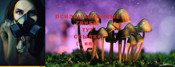 бошки Вяземский