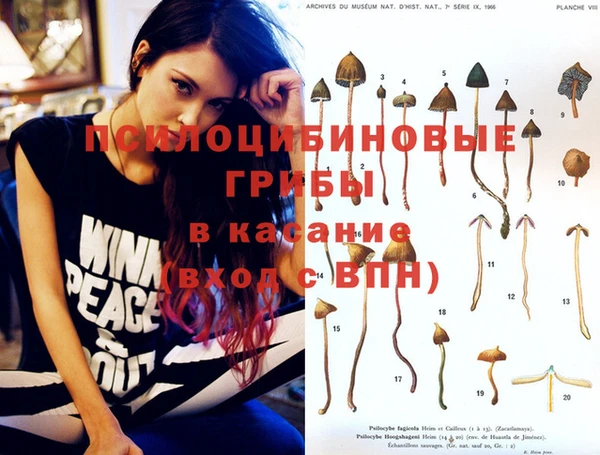тгк Вязьма