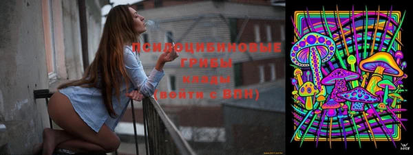 бошки Вяземский