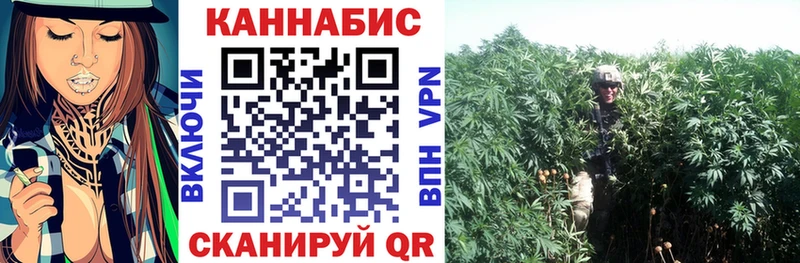 Бошки Шишки планчик Дигора