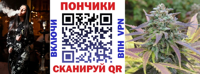 Бошки марихуана марихуана  Купить закладки  Дигора 